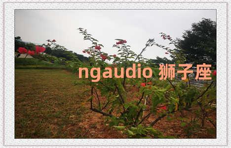 ngaudio 狮子座